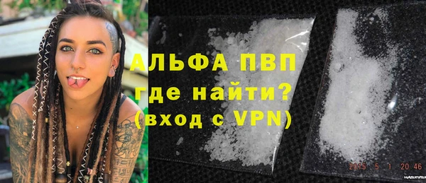 прущие грибы Наволоки