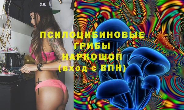 крисы Нея