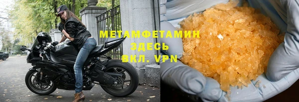 прущие грибы Наволоки