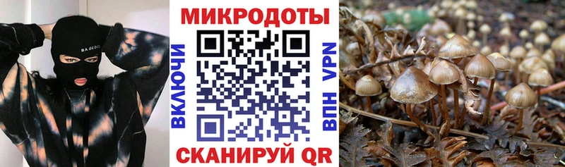 магазин продажи наркотиков  Колпашево  Галлюциногенные грибы Magic Shrooms 
